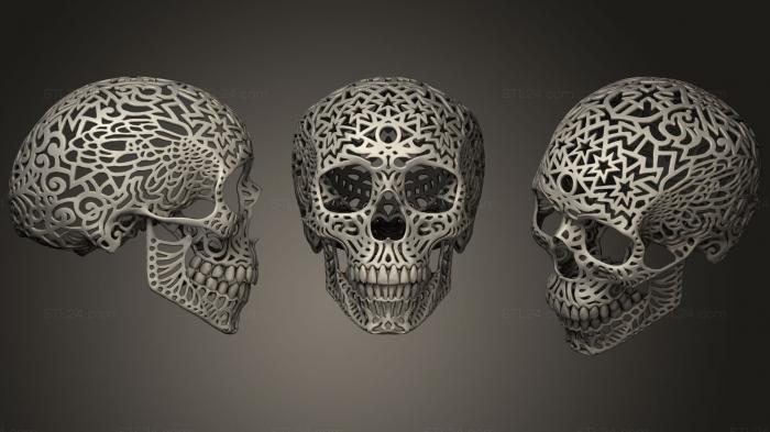 Анатомия скелеты и черепа (Кранео Самофракийский, ANTM_0365) 3D модель для ЧПУ станка